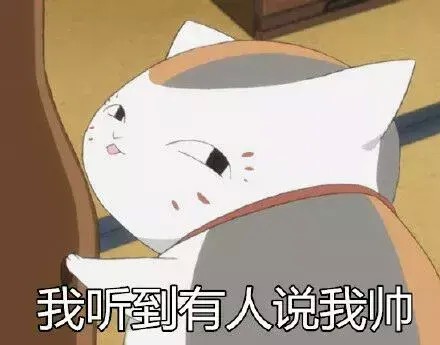 猫咪买家秀，你是想笑死我继承我的花呗么！