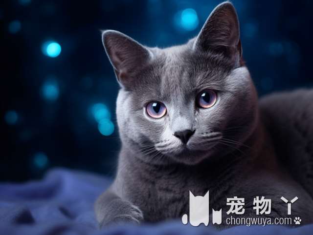 杜宾犬凶猛吗？